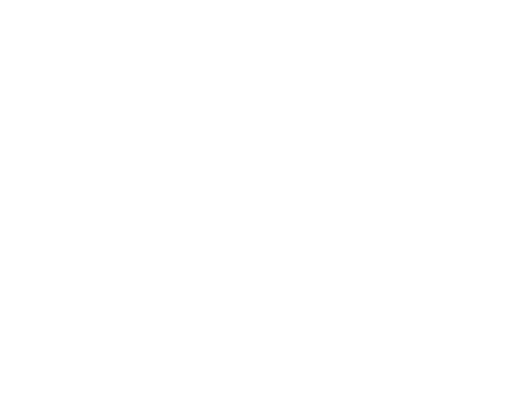 The Ritual – L’Exorcisme d’Emma Schmidt